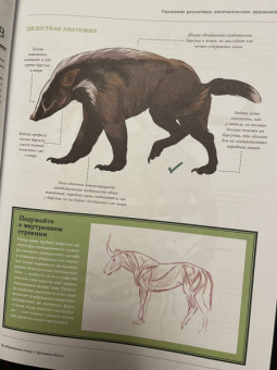 Рис, Метени, Бейкер: Создание фантастических существ. Полный курс. От разработки концепта до готового персонажа