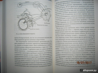 Станислав Дробышевский: Достающее звено. Книга первая. Обезьяны и все-все-все