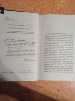 Михаил Михеев: Не надо было вмешиваться