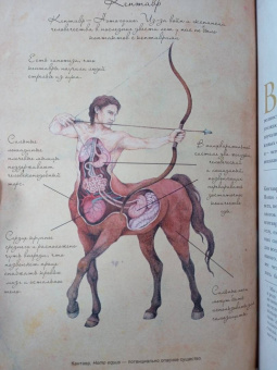 Вероника Вигберт-Блэкуотер: Энциклопедия магических чудищ. Анатомическое исследование наиболее неуловимых существ криптозоологии