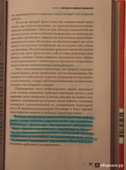 Дэниел Гоулман: Фокус. О внимании, рассеянности и жизненном успехе
