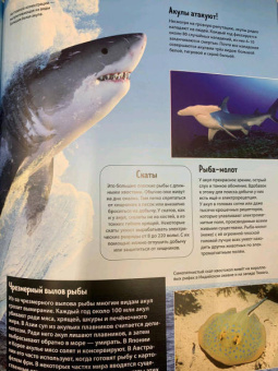 Анна МакРей: Океаны и моря. Виртуальная реальность