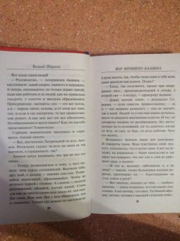 Валерий Шарапов: Вор крупного калибра