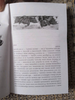 Крыжановская-Рочестер, Одоевский: Адские чары