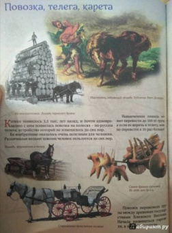 Евстигнеев, Ященко: Как появился транспорт, или Как и на чем передвигаются люди