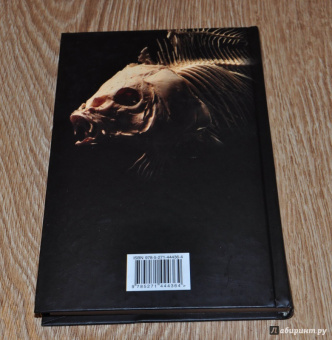 Вайнер, Словин: След черной рыбы