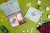 Эпплджон, Айрдейл, Кук: Ostara Tarot. Таро Остары (78 карт и руководство для гадания в подарочном оформлении)