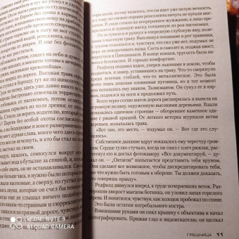 Тесс Герритсен: Грешница