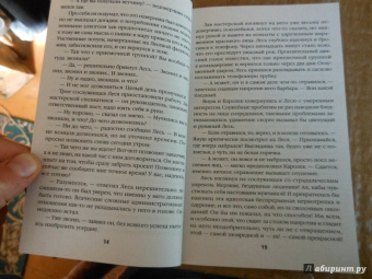 Иоанна Хмелевская: Лесь