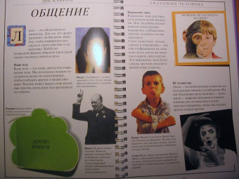 Грехам, Уолкер: Дискавери:  Анатомия человека