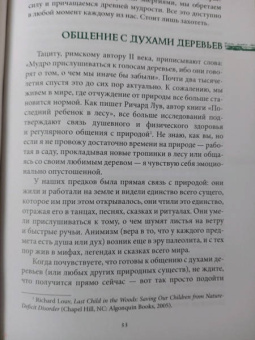 Моника Кроссон: Дикая Волшебная Душа. Раскрепости свой дух и соединись с мудростью природы