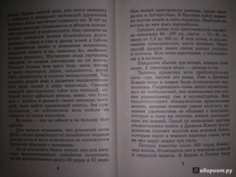 Мария Солодова: Чего хочет ваша кошка