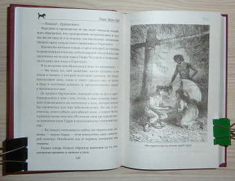 Рид Майн: Огненная Земля; Водяная пустыня, или Водою по лесу