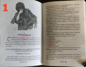 Александр Дюма: Госпожа де Шамбле