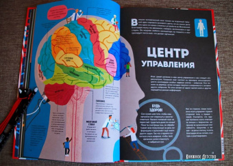 Макс Пембертон: Тело человека. Как работает наш удивительный организм