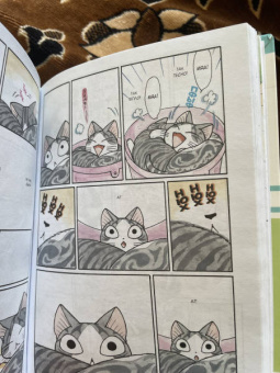 Конами Каната: Милый дом Чи. Книга 10