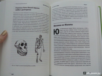 Станислав Дробышевский: Достающее звено. Книга вторая. Люди