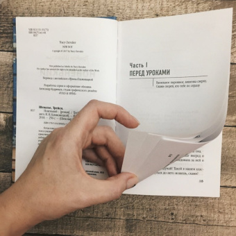 Трейси Шевалье: Новенький