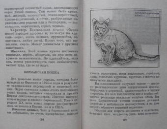 Мария Солодова: Чего хочет ваша кошка