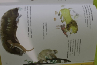 Зоммер, Тейлор: Большая книга зверей