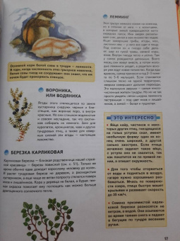 Свечников, Романова: Природа России. Иллюстрированная энциклопедия