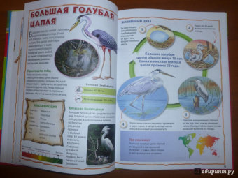 Моя первая книга о животных