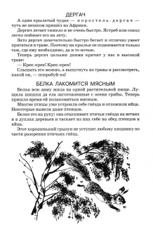 Виталий Бианки: Лесная газета