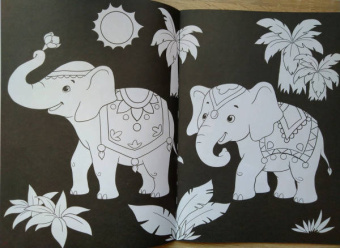 Раскраска ВОЛШЕБНЫЙ ЧЕРНЫЙ. ЦВЕТЫ И УЗОРЫ (Р-5489)