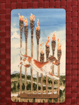 Мюллер, Мюллер: Комплект:  Таро магических собак+Таро Эры Водолея