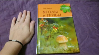 Петр Волцит: Ягоды и грибы