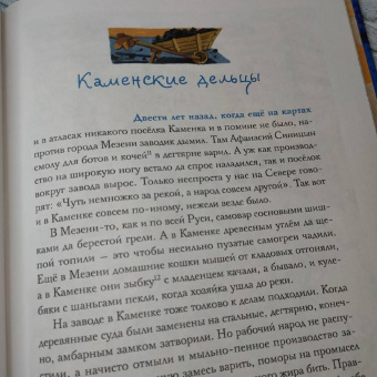 Денис Макурин: Поморская окутка. Лоскутные сказки