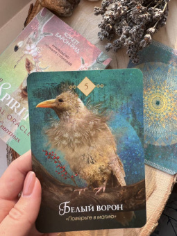 Колетт Барон-Рид: The Spirit Animal Oracle. Духи животных. Оракул, 68 карт и руководство в подарочном оформлении