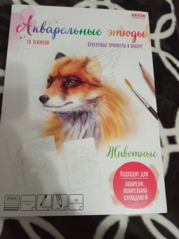 Раскраска Животные, А4, 10 листов
