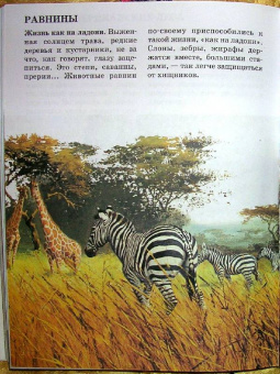 Ордынская, Собе-Панек, Першин: Хочу все знать!