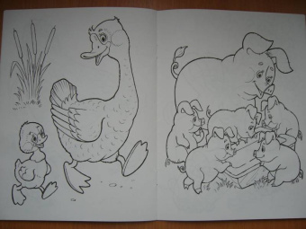 Татьяна Коваль: Домашние любимцы