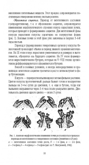 Мешков, Терехова, Константинович: Овощеводство. Практикум. Учебное пособие для СПО