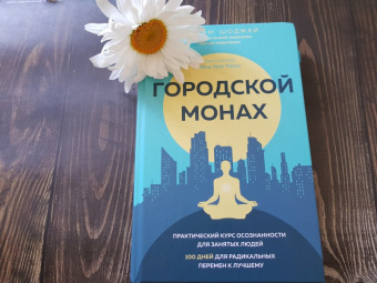 Педрам Шоджай: Городской монах