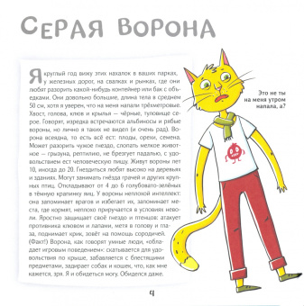 София Егорова: Кот Брюс и городские птички