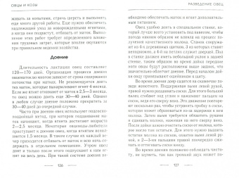 Елена Плотникова: Козы и овцы