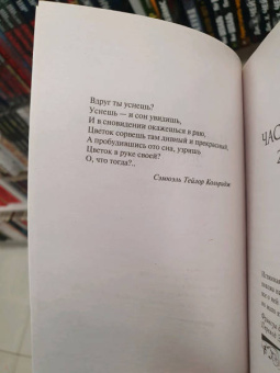 Джоди Пиколт: Второй взгляд