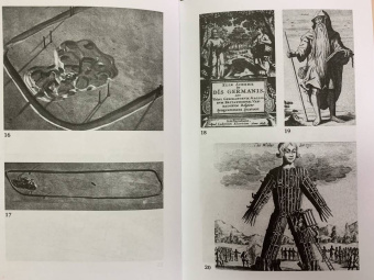 Стюарт Пиготт: Друиды. Поэты, ученые, прорицатели