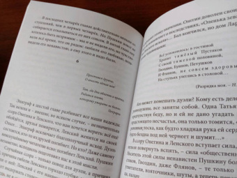 Наталья Долинина: Прочитаем "Онегина" вместе