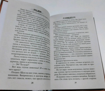 Анна Мичи: Академия Трех Сил