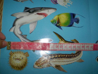 Юлия Школьник: Подводный мир. Книжки для любознательных