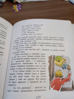 Софья Прокофьева: Необыкновенные приключения обыкновенных мальчишек
