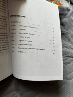 Иларион Митрополит: Чему подобно Царство Небесное? Восемь притч Иисуса Христа