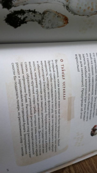 Михаил Вишневский: Грибы. Атлас-определитель