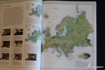 Бамбарадения, Вудрафф, Гинзберг: Животный мир. Иллюстрированный атлас