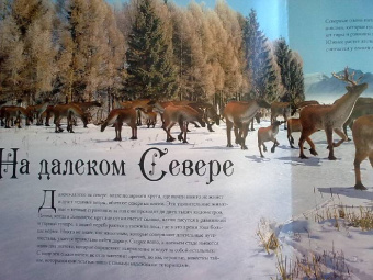 Род Грин: Олени Санта-Клауса