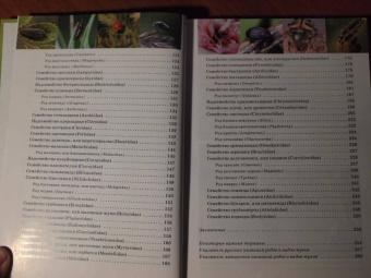 Александр Просвиров: Атлас жуков средней полосы России